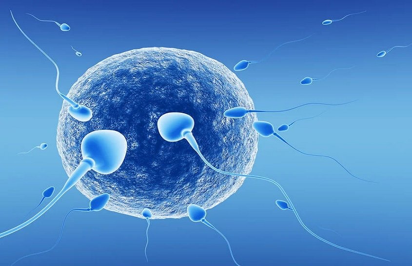 Male Infertility