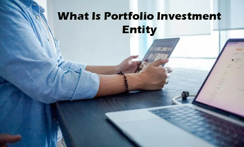 What is Portfolio Investment Entity? A Complete Guide to Understanding How It Works